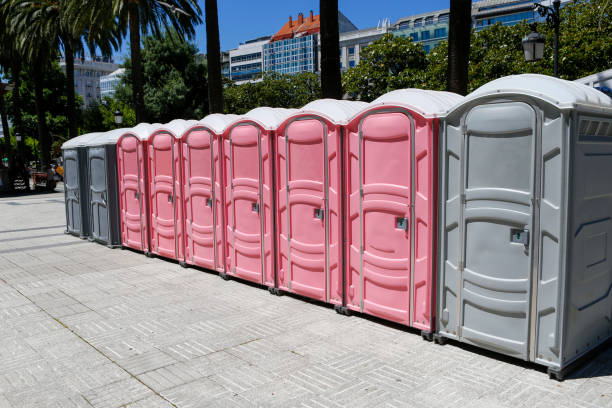 Best Portable Restrooms for Agricultural Sites  in Weber City, VA